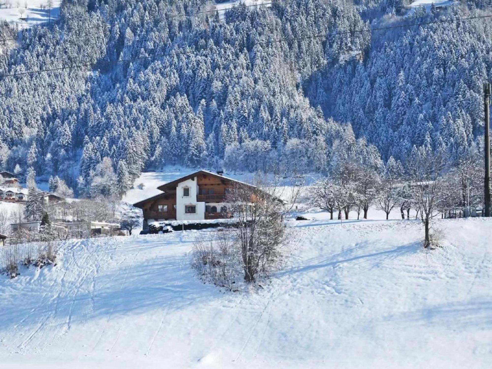 Apartment With Panoramic View Ramsau im Zillertal Bagian luar foto